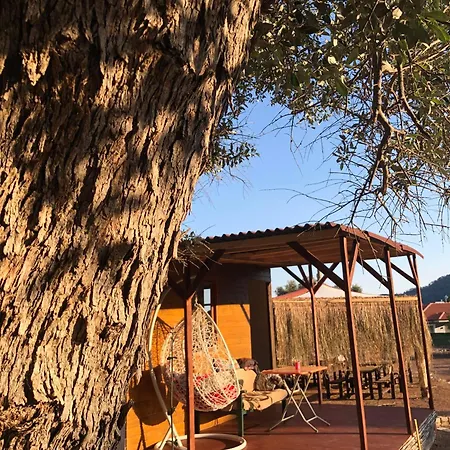 ラグジュアリーテント Medusa Kamp