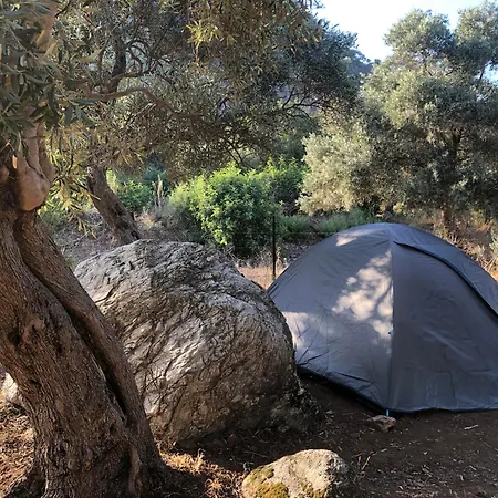 Medusa Kamp ラグジュアリーテント