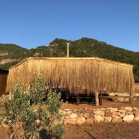 ラグジュアリーテント Medusa Kamp Ekincik