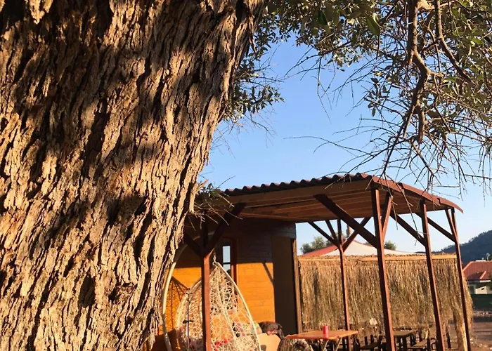 Οργανωμένο κάμπινγκ Medusa Kamp