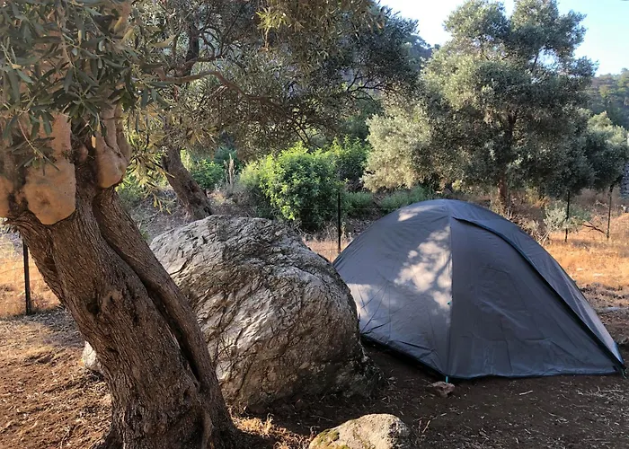 Medusa Kamp Οργανωμένο κάμπινγκ